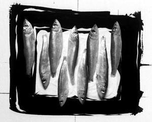 largeblcksqfishlinked.jpg