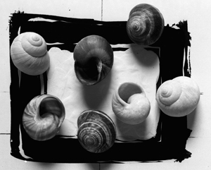 largeblcksqsnailslinked.jpg