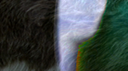 simmentalmoviethumb.jpg